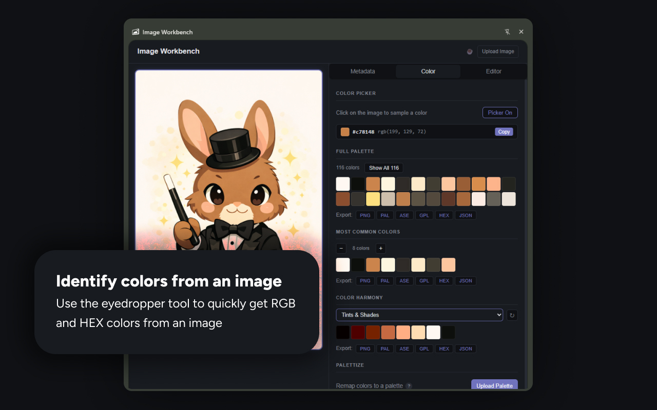 Use the eyedropper to sample any color, then copy its HEX or RGB value instantly.