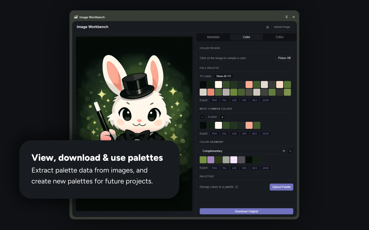 Extract full color palettes from images and export them as PNG, PAL, ASE, GPL, HEX, or JSON.